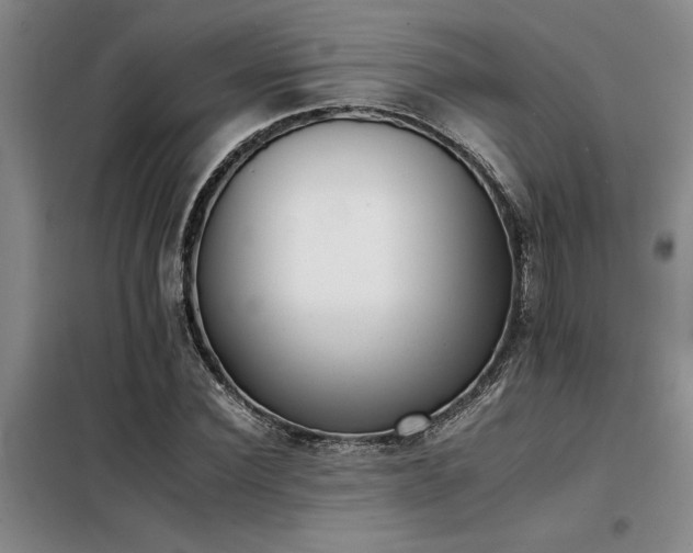 X0000098140924200804171543