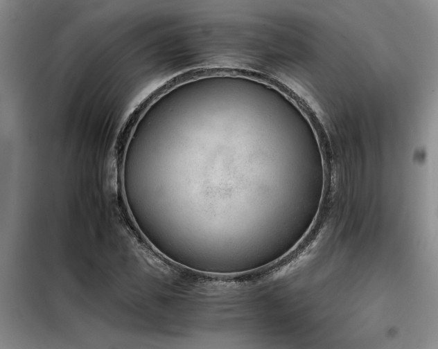 X0000098140925200804171543