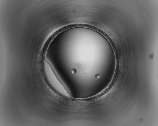 X0000098140926200804171543