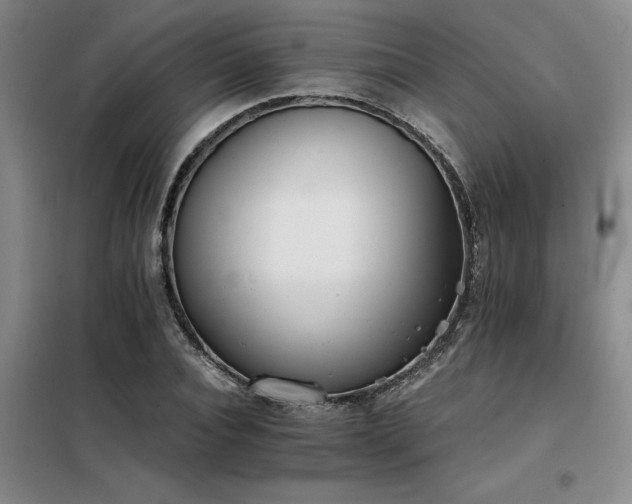 X0000098140928200804171543