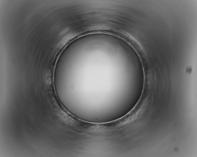 X0000098140929200804171543