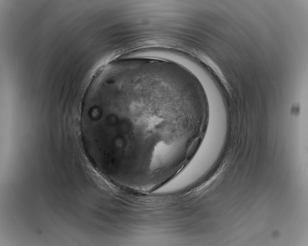 X0000098140930200804171543