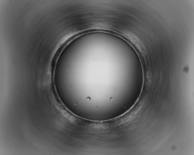 X0000098140931200804171543