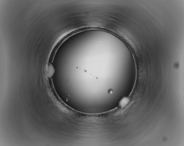 X0000098140932200804171543
