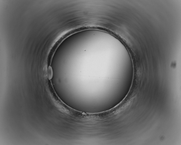 X0000098140934200804171543