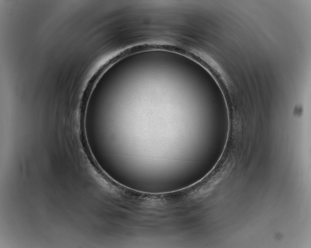 X0000098140935200804171543