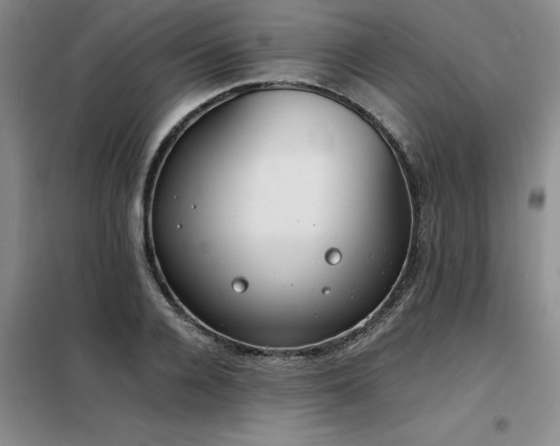 X0000098140936200804171543