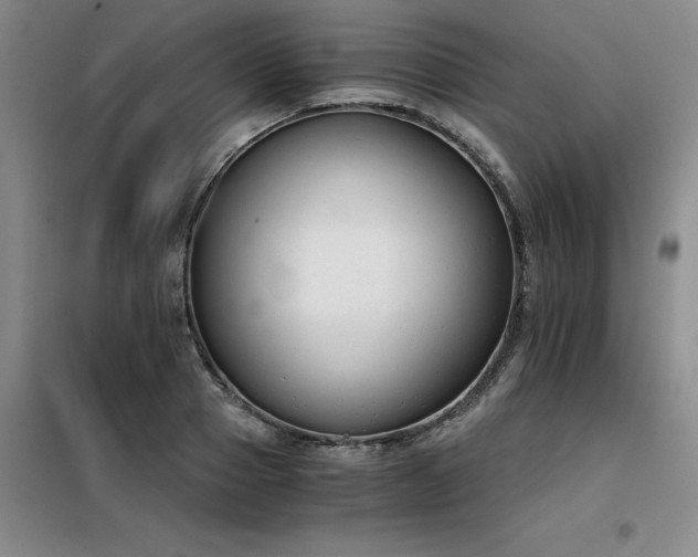 X0000098140937200804171543