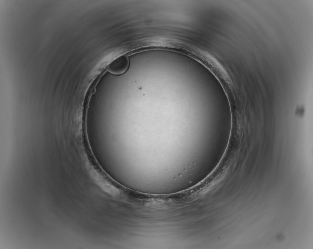 X0000098140938200804171544