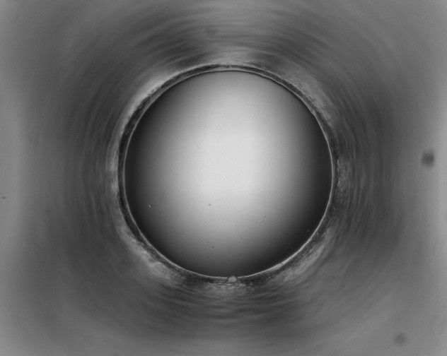 X0000098140939200804171544