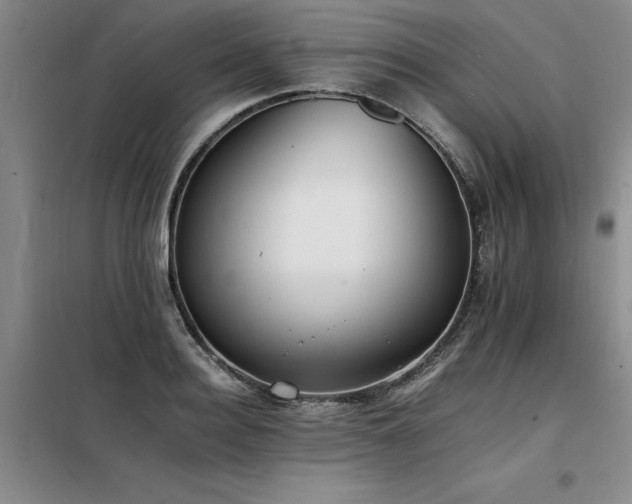 X0000098140940200804171544
