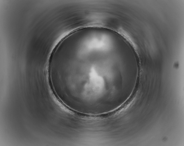X0000098140941200804171544