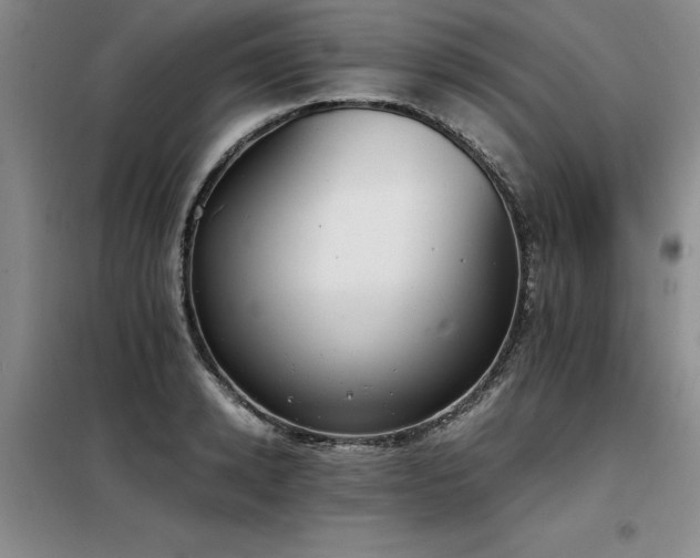 X0000098140942200804171544
