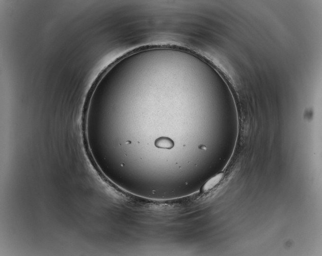 X0000098140943200804171544