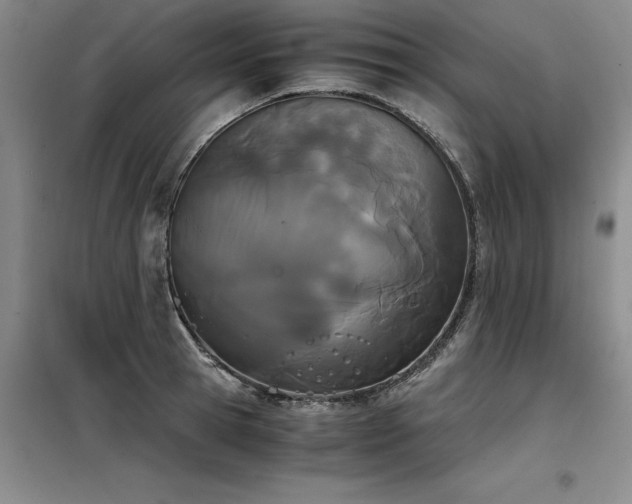 X0000098140945200804171544