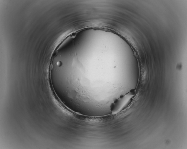 X0000098140946200804171544