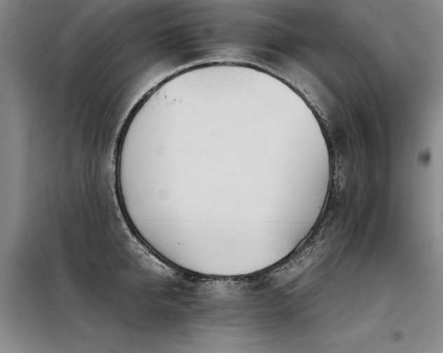X0000098140950200804171544