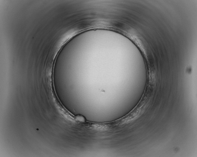 X0000098140954200804171544