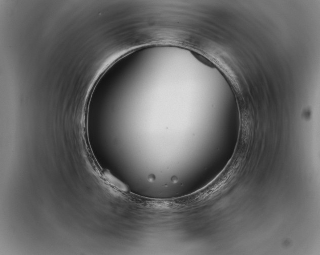 X0000098140956200804171544