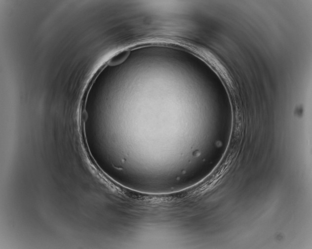 X0000098140958200804171544