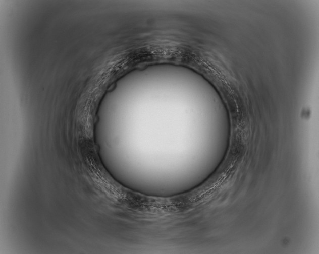 X0000098140961200804171543