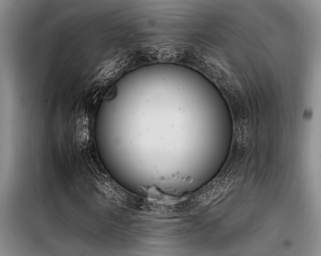 X0000098140962200804171543