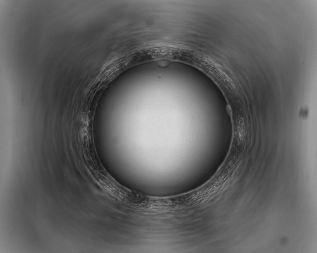 X0000098140964200804171543