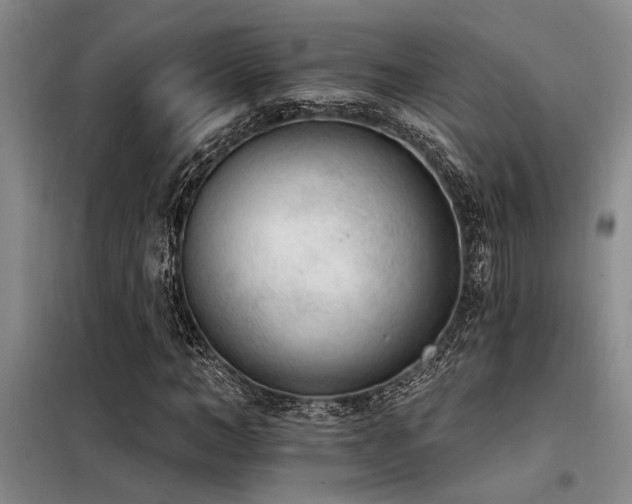 X0000098140966200804171543