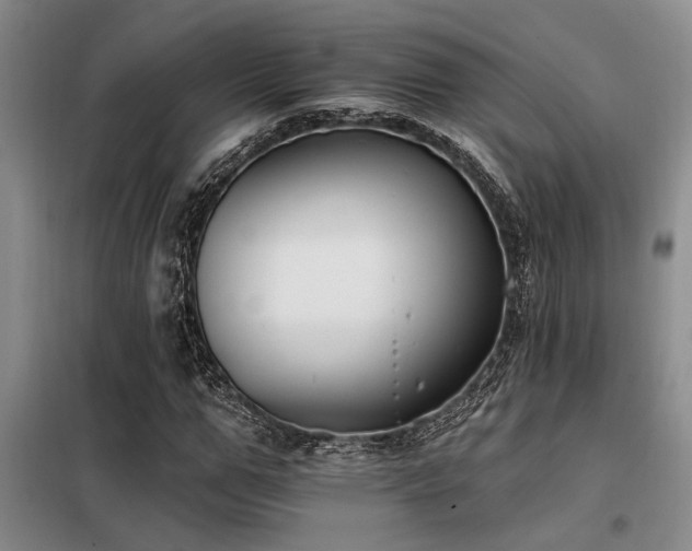 X0000098140967200804171543