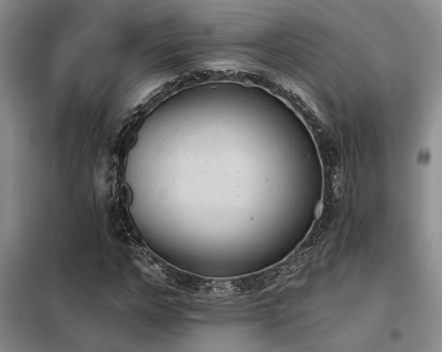 X0000098140968200804171543