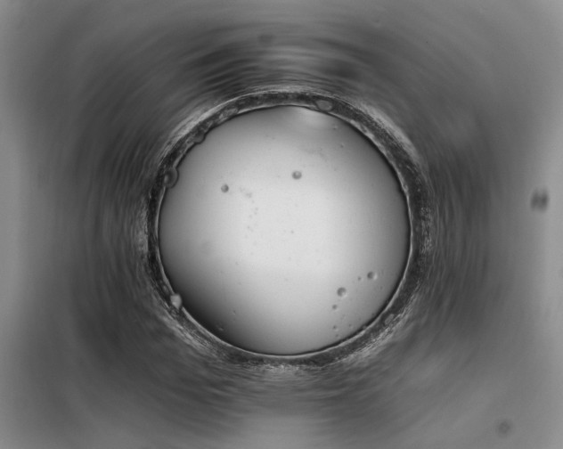 X0000098140969200804171543
