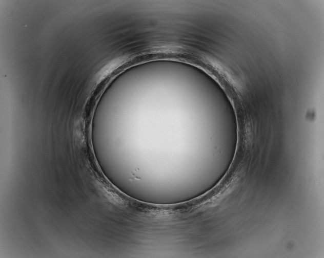 X0000098140970200804171543