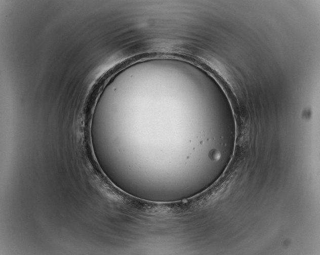 X0000098140971200804171543