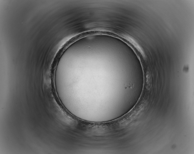 X0000098140972200804171543