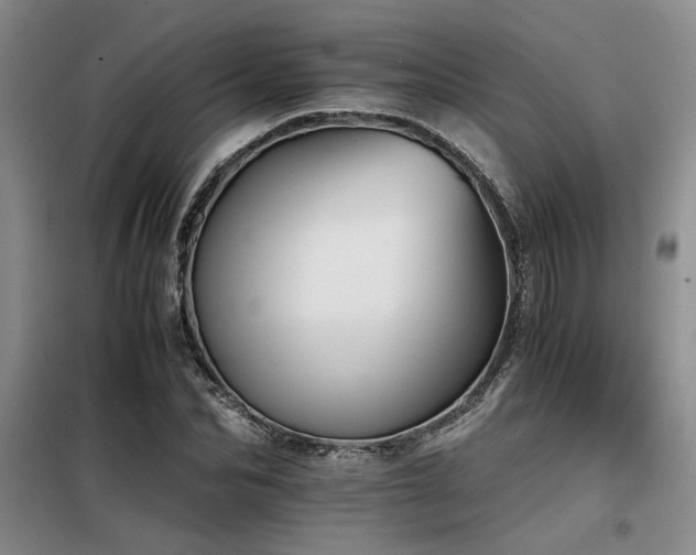 X0000098140974200804171543