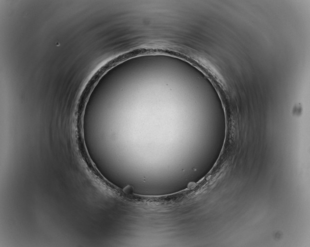 X0000098140976200804171543