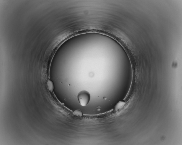 X0000098140977200804171543