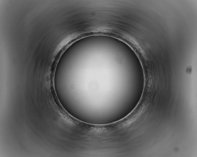 X0000098140978200804171543