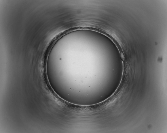 X0000098140979200804171543