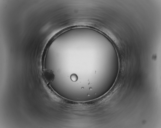 X0000098140980200804171543