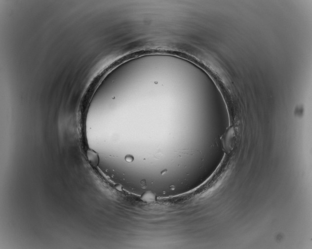 X0000098140981200804171543