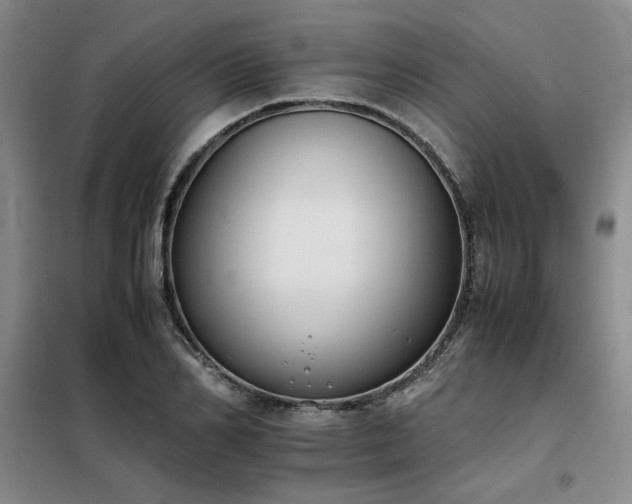 X0000098140982200804171543