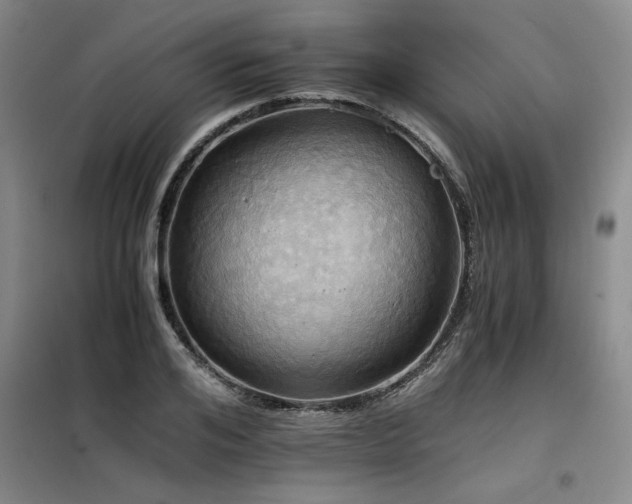 X0000098140984200804171543