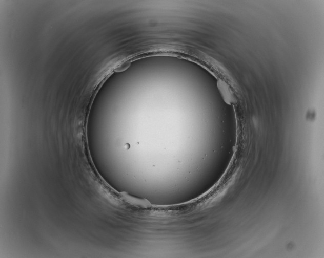 X0000098140985200804171543