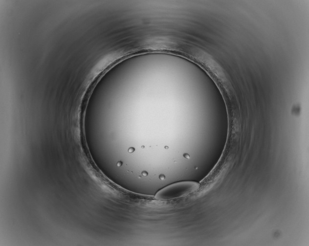 X0000098140986200804171543