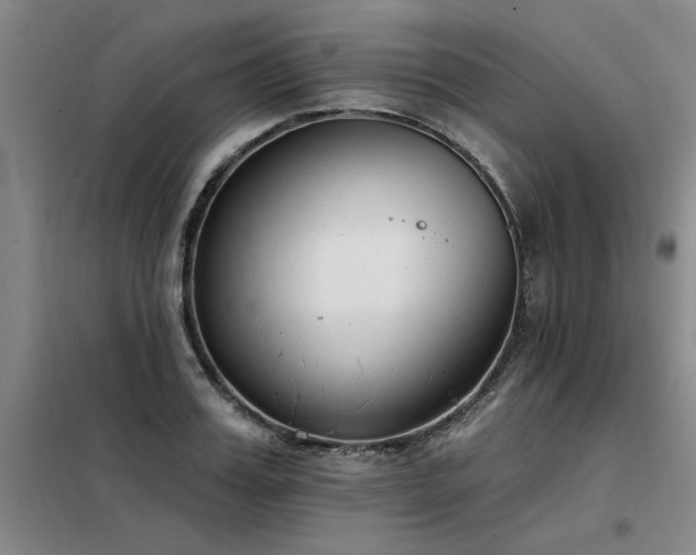 X0000098140987200804171543