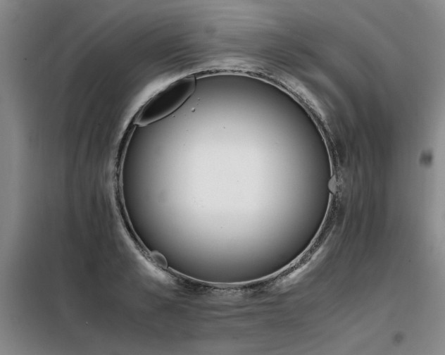 X0000098140989200804171543