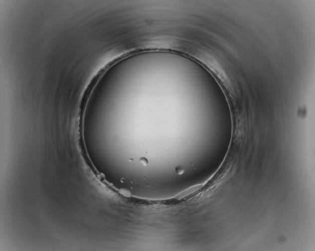 X0000098140992200804171543