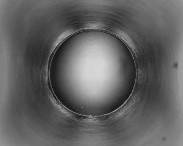 X0000098140994200804171543