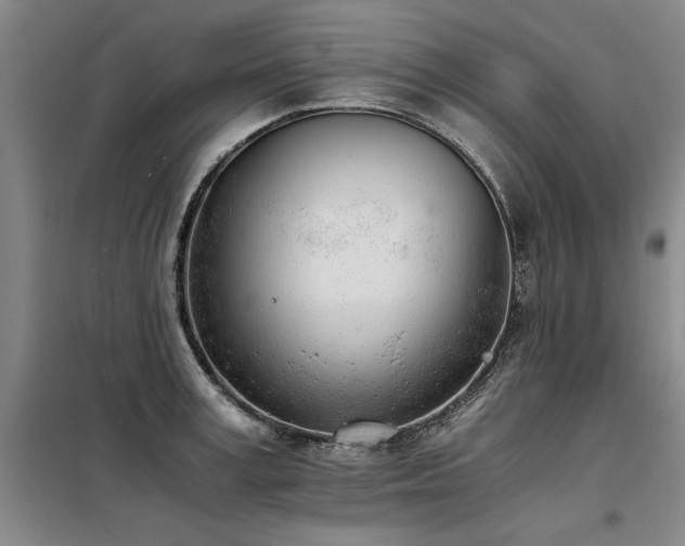 X0000098140995200804171543